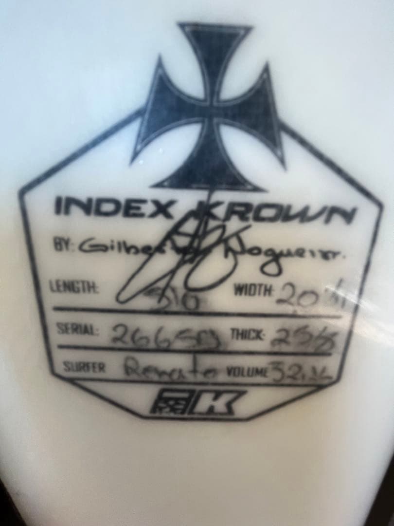 フィッシュツイン5'６　32.2L サーフボード