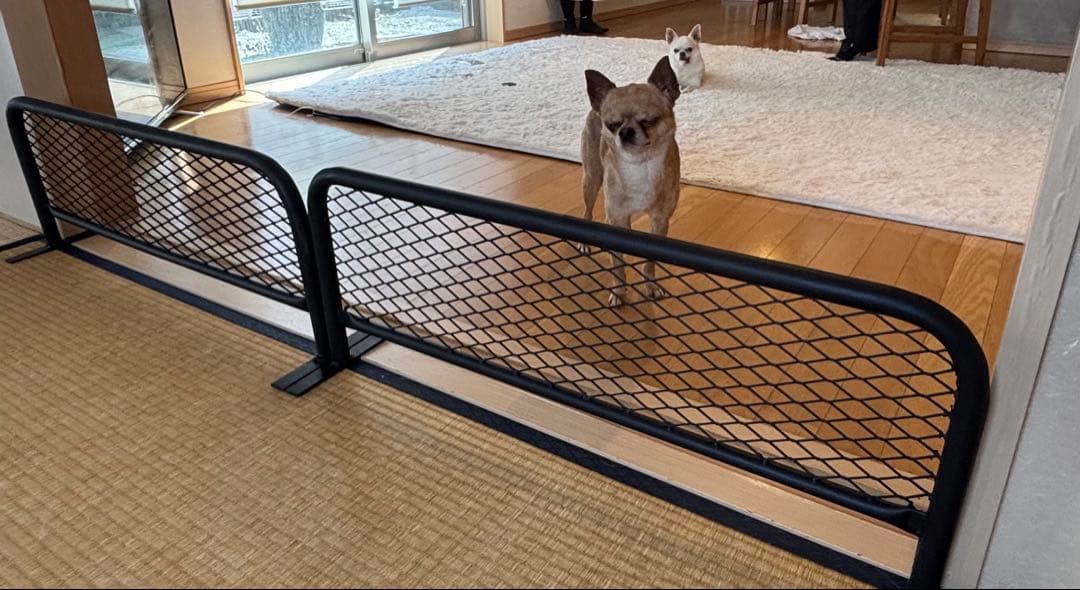 こんちゃん 850×300 脱走対策