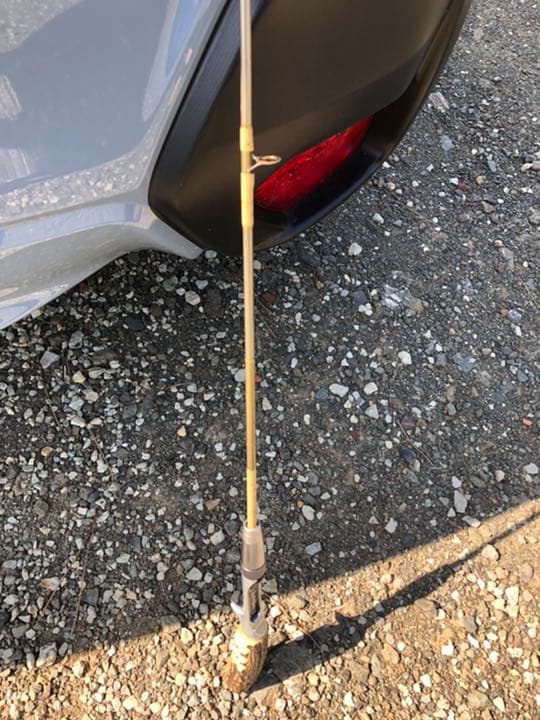 レスターファイン　ミノージャック