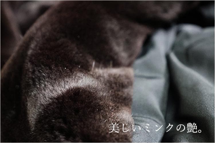 【新品】is-351201-13/ジャンフランコフェレ/シェアドミンク