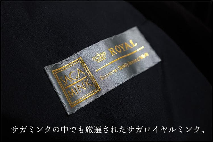 【新品】is-351201-13/ジャンフランコフェレ/シェアドミンク