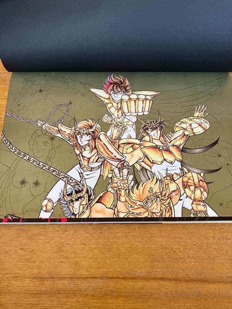 【激レア】聖闘士星矢30周年記念画集 聖域 ―SANCTUARY―