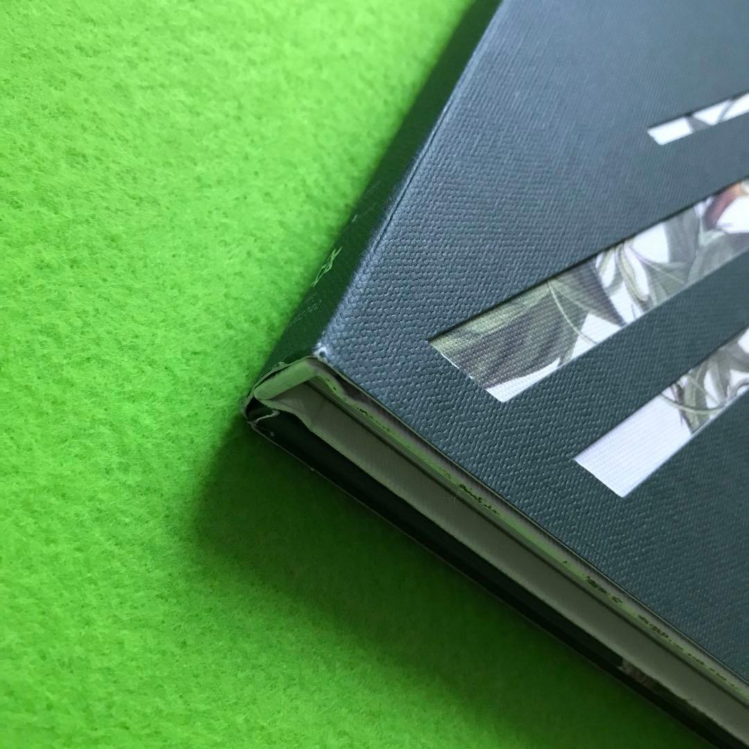 1500/予約済み　　All Light: Vol.1 (Green ver.)