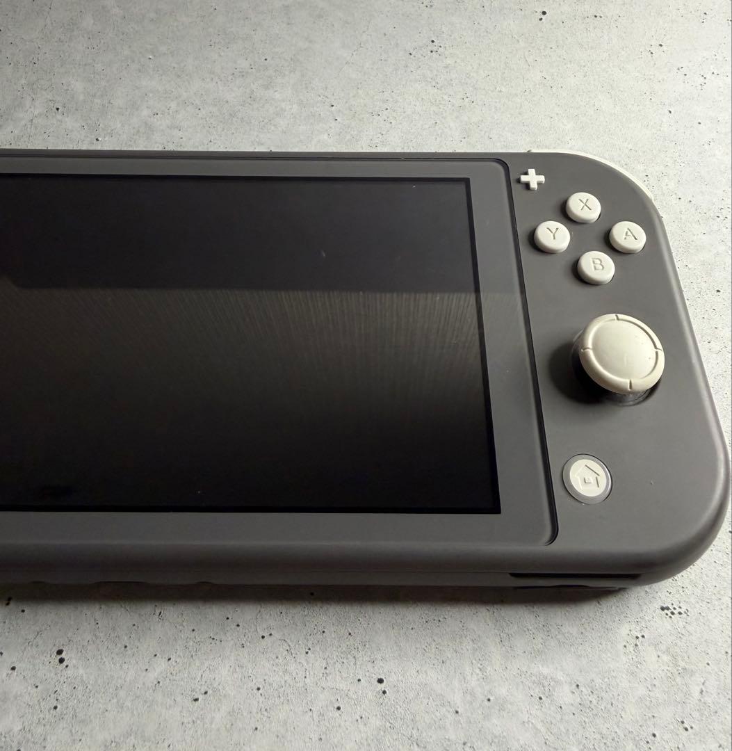 Nintendo Switch Lite グレー 本体 おまけケース付き