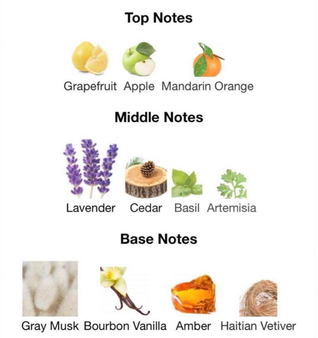 香水(ユニセックス) Commodity fragrances WOOL 100ml