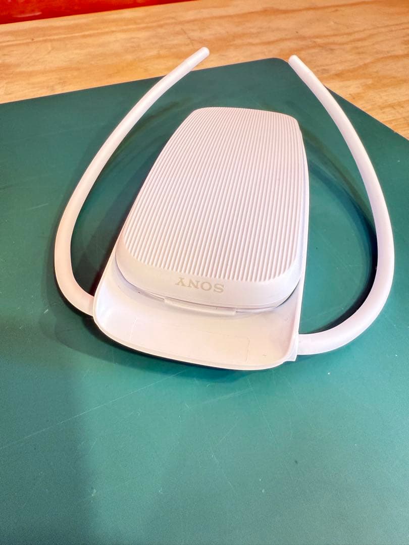 【美品】 SONY REON POCKET5 　専用ケース付き