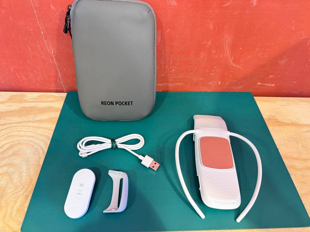 【美品】 SONY REON POCKET5 　専用ケース付き