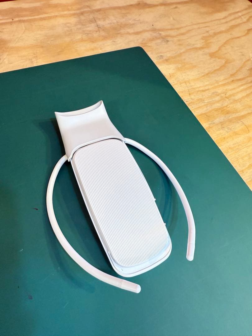 【美品】 SONY REON POCKET5 　専用ケース付き