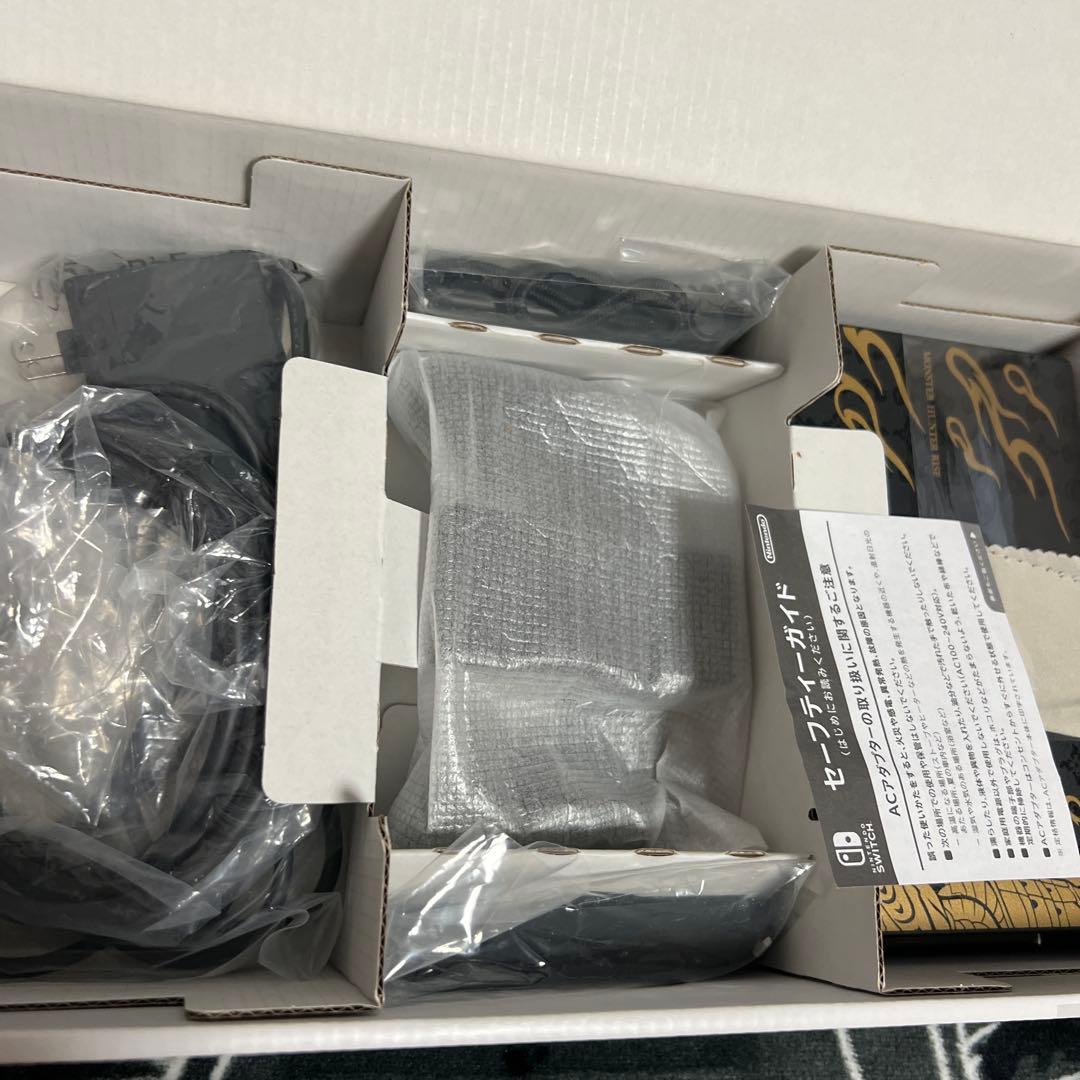 美品　Nintendo Switch ハンターライズ　スペシャルエディション