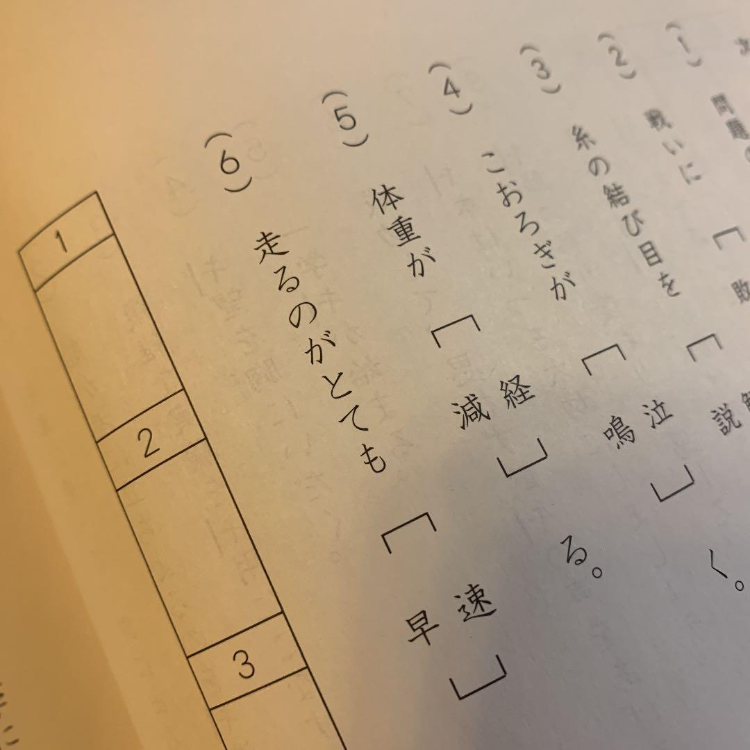 本日のみ大幅お値下げ　SAPIX 国語 5年 デイリーサピックス 1~37