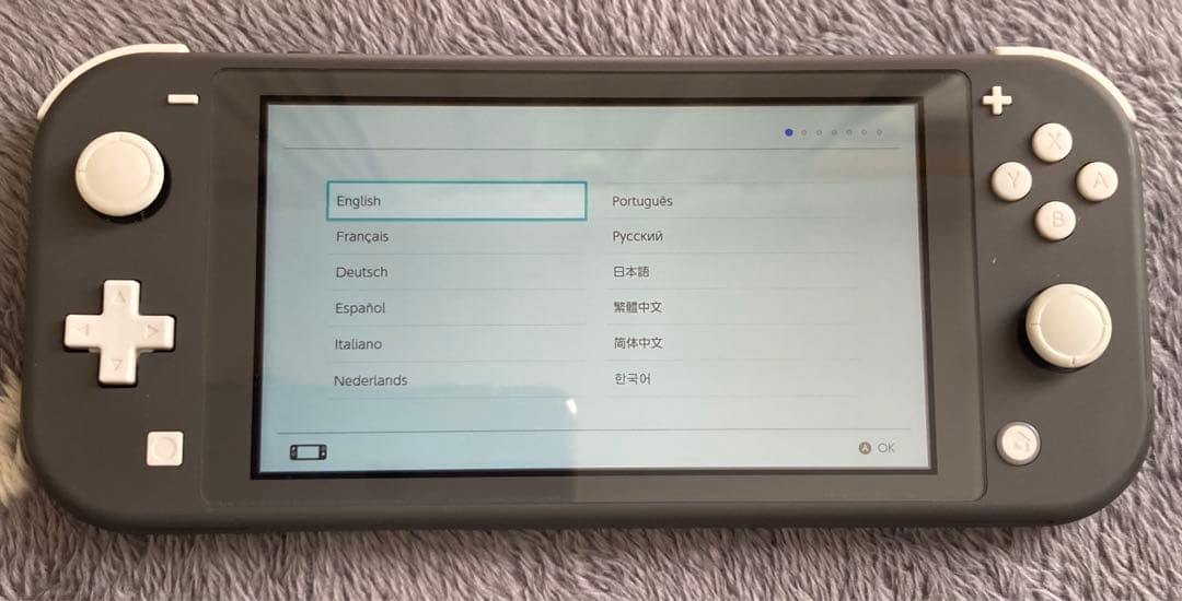 Nintendo Switch Lite グレー microSDカード付き