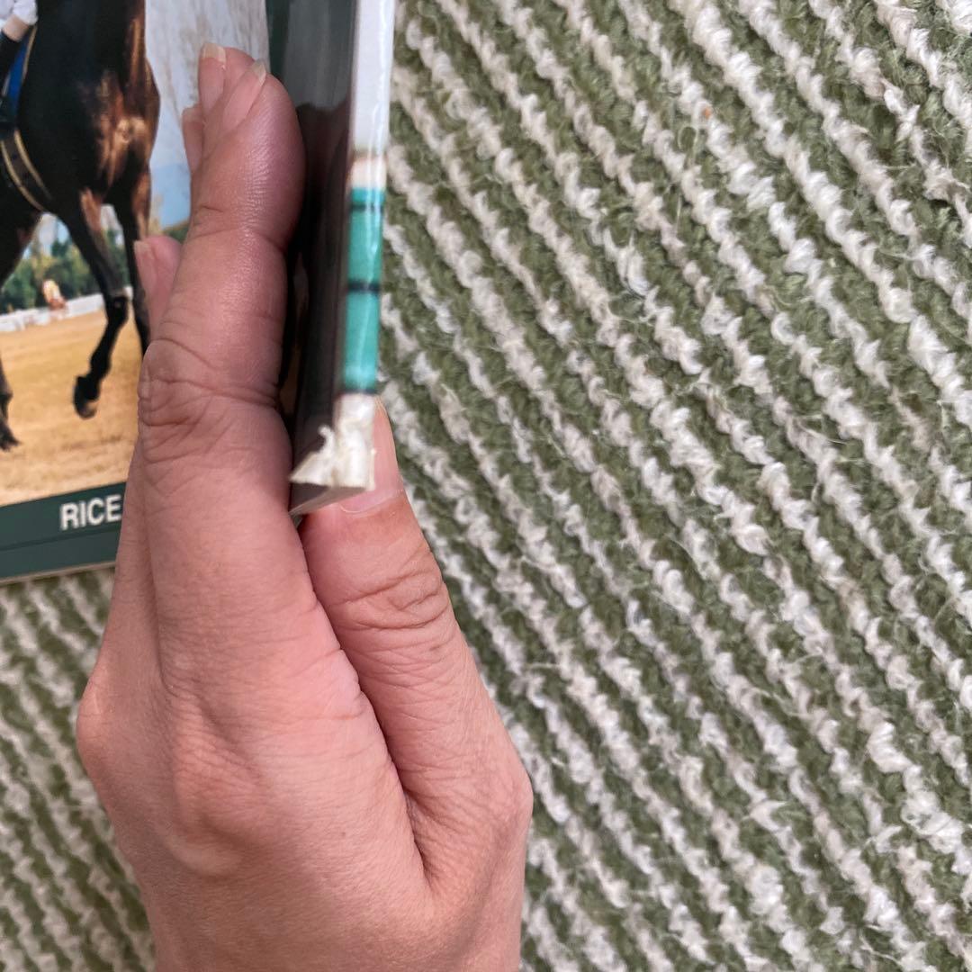 週刊100名馬 名馬 100選 ジェニュイン 全23冊