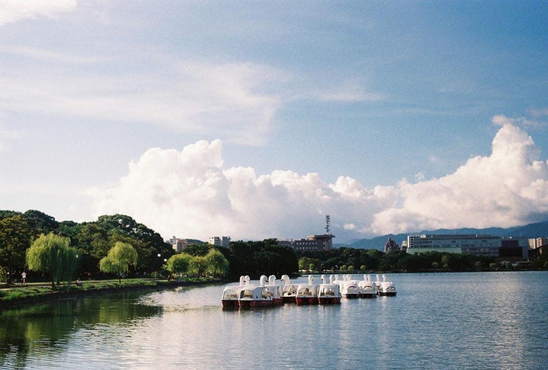 ニコン Nikon F3 HP Ai NIKKOR 50mm F1.4 作例あり