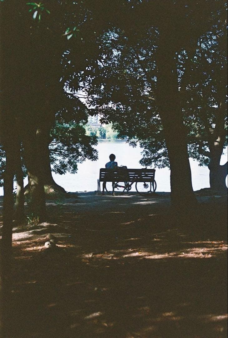 ニコン Nikon F3 HP Ai NIKKOR 50mm F1.4 作例あり