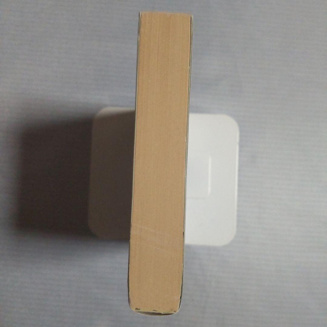 妖魔の戯れ タニス・リー 浅羽莢子 早川書房 ハヤカワ文庫 FT