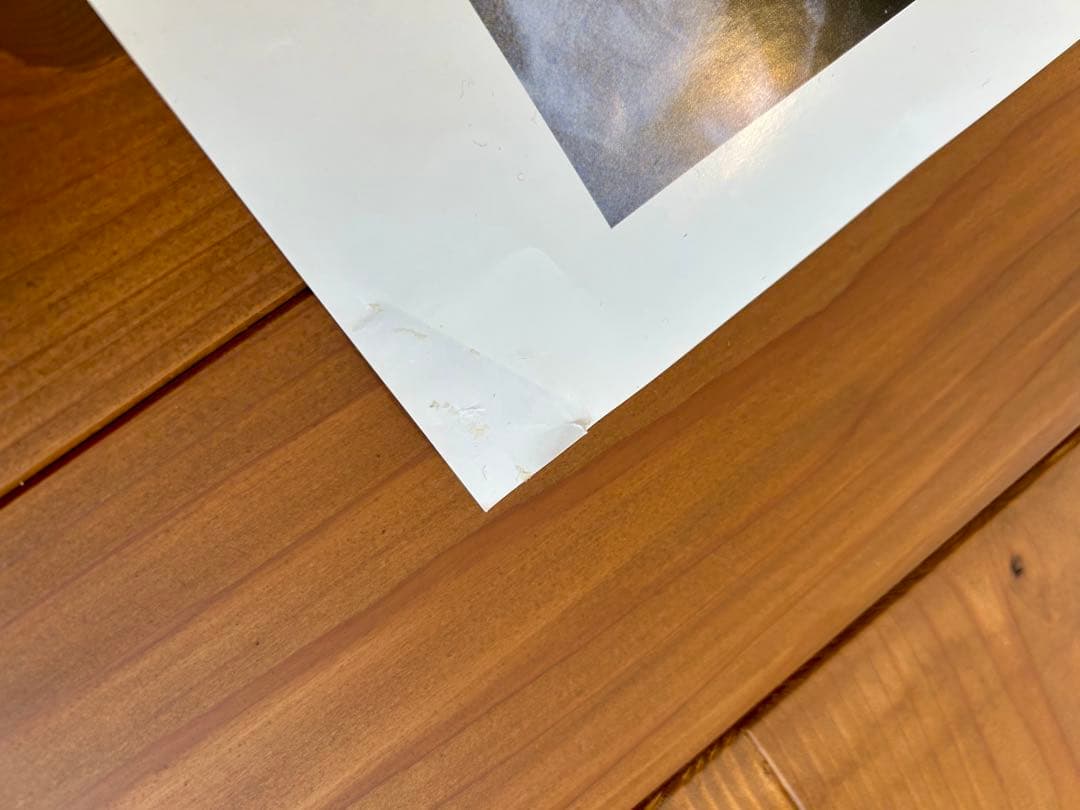 値下げ◎Lost In Translationロストイントランスレーション写真集