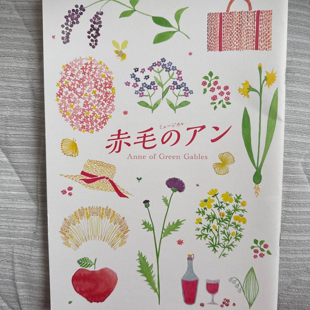 本日限定値下げ！【廃盤美品】劇団四季DVD 赤毛のアン