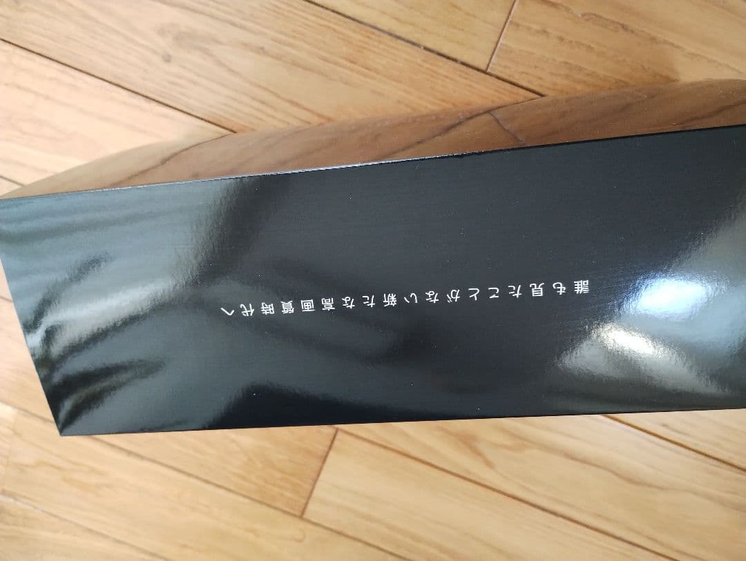 使用6ヶ月　純正交換型　PORMIDO PRD81C ドラレコ デジタル