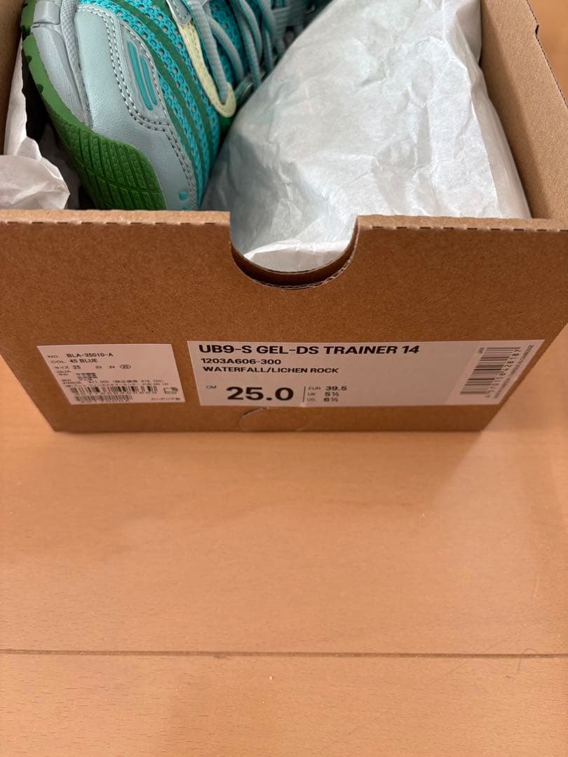 靴 ASICS UB9-S GEL-DS TRAINER 14 25cm