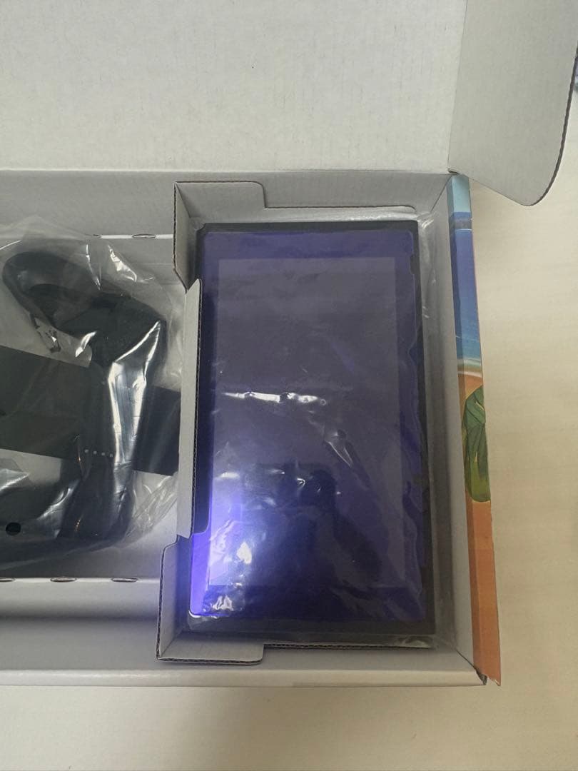 Nintendo Switch あつまれ どうぶつの森セット