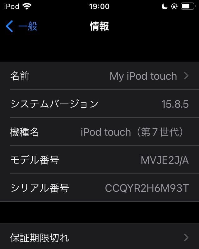 【キズあり・本体のみ】iPod touch 第7世代 256GB