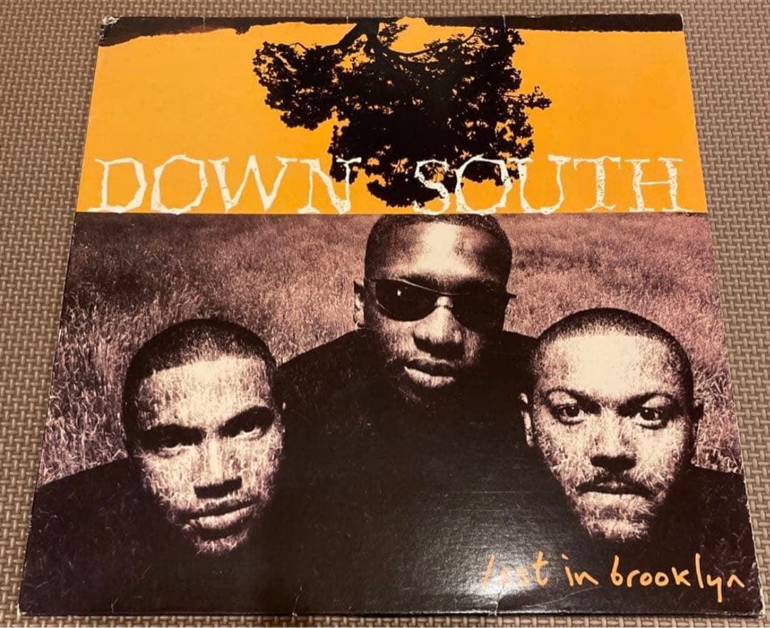 Down South Lost in Brooklyn レコード　2LP