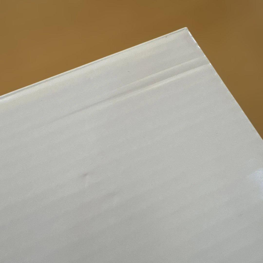 【お値下げ】【新品】ロイヤルコペンハーゲンプリンセスプレート22センチ2枚セット