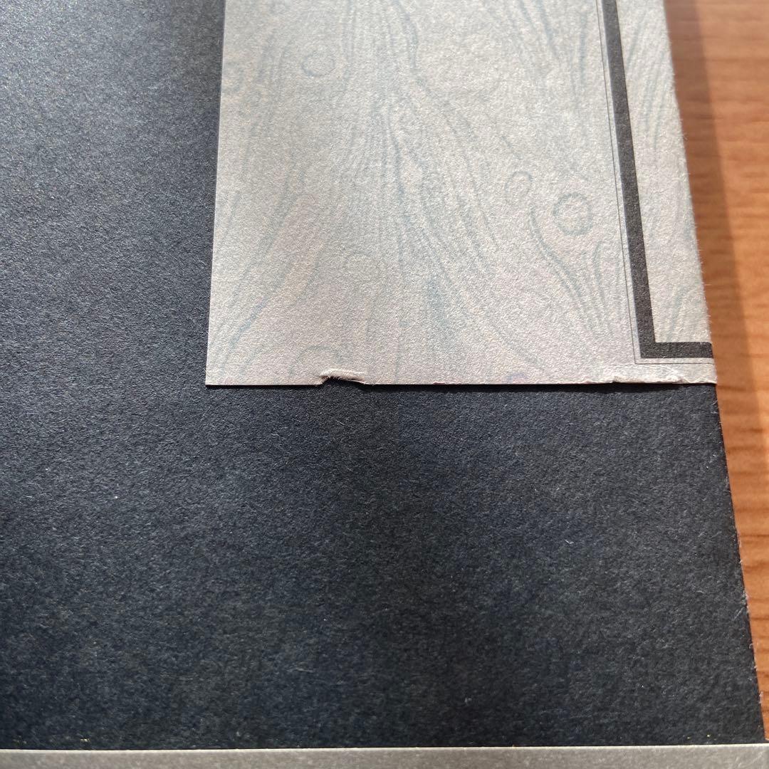 【絶版】ネクロフィリア ガブリエル・ヴィットコップ 国書刊行会