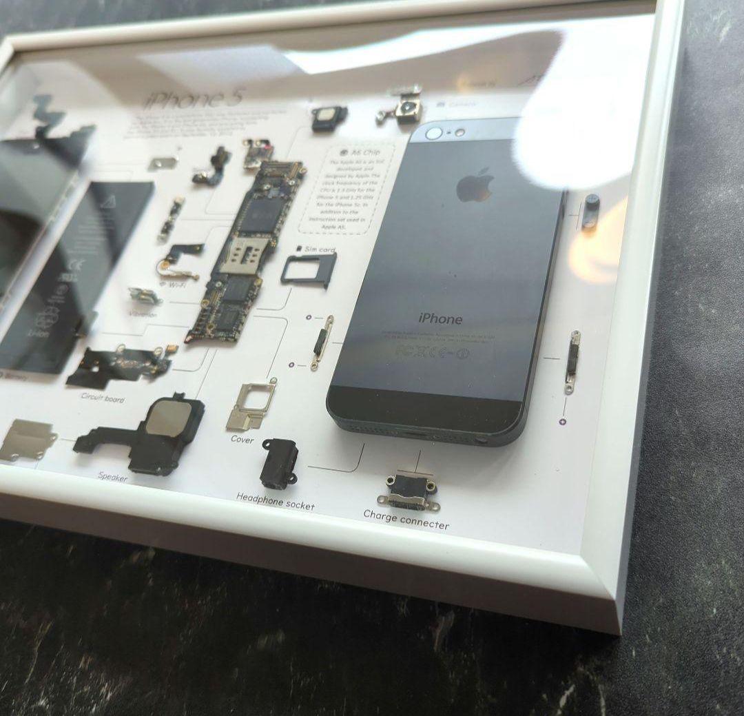 iPhone5 標本アート グレー