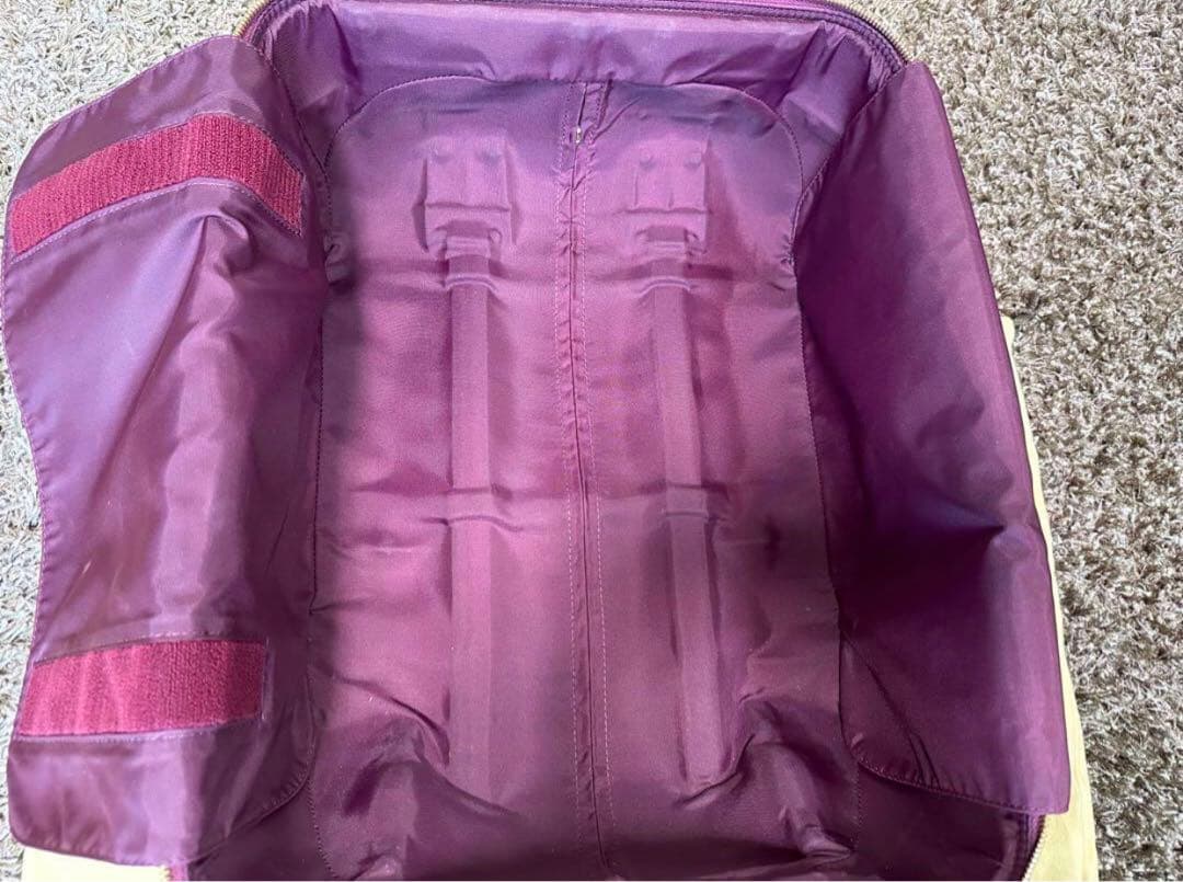 美品 ルイヴィトン ペガス キャリーケース ヴェルニ ヴィトン