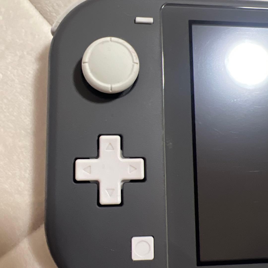 Nintendo Switchlight 本体のみ グレー