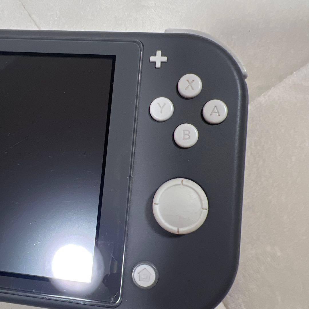 Nintendo Switchlight 本体のみ グレー