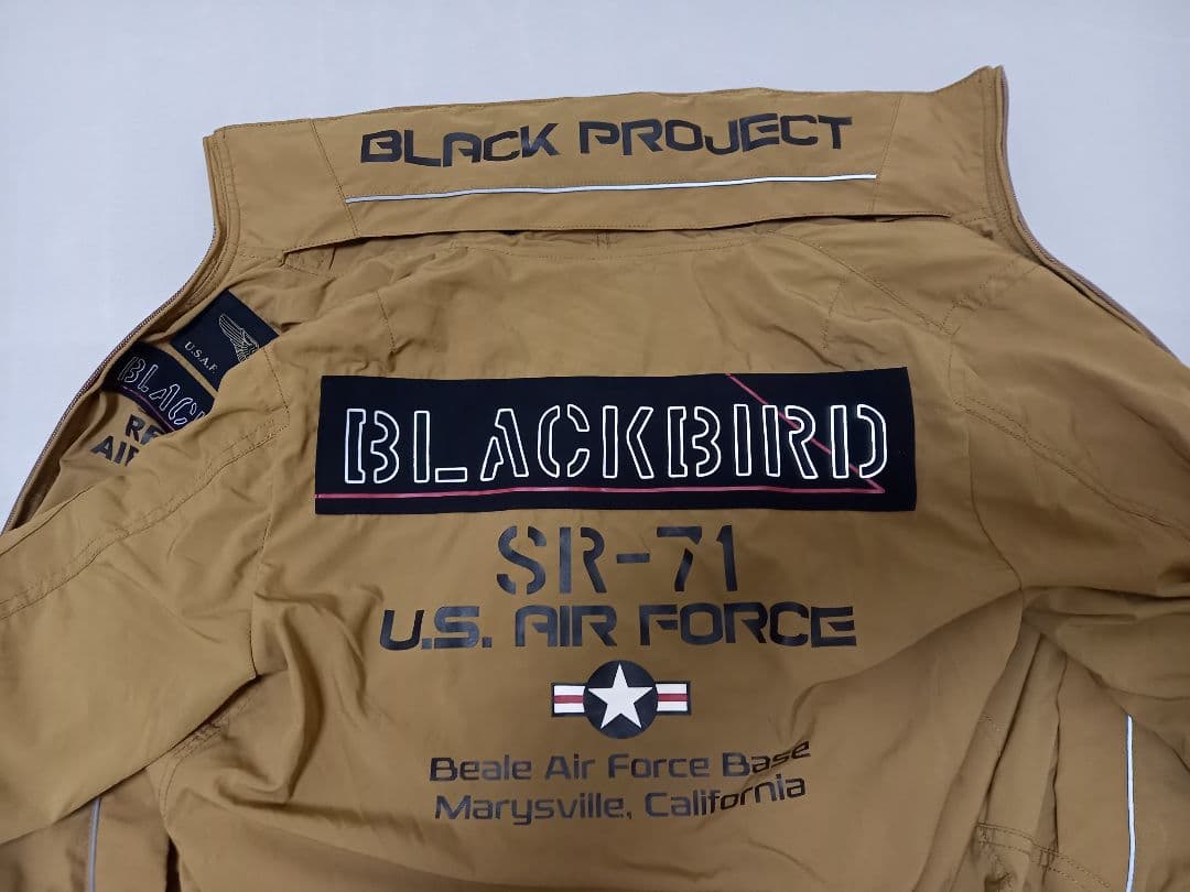 AVIREX BLACKBIRD ミリタリージャケット