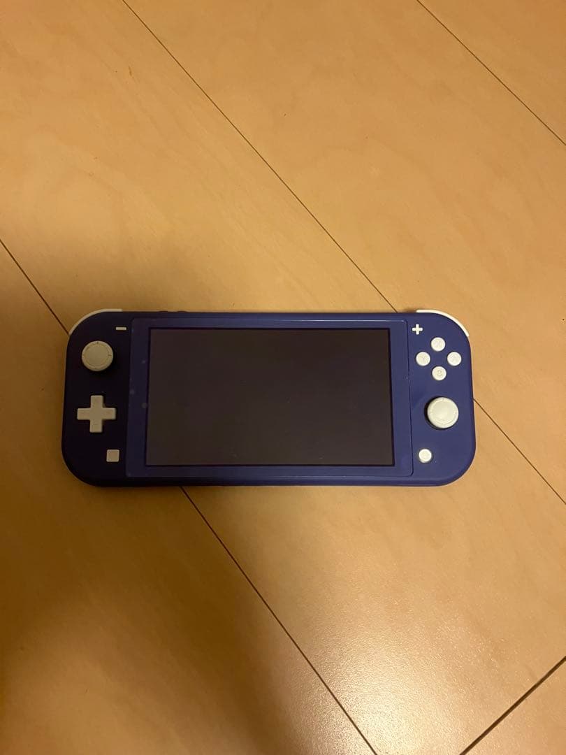 Nintendo Switch Lite ブルー　ソフト付き　ケース付き