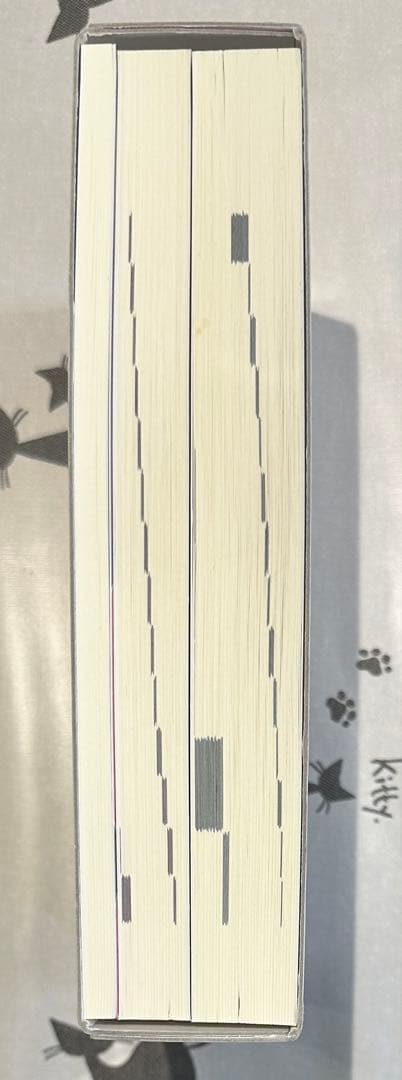 田中ビネー知能検査V