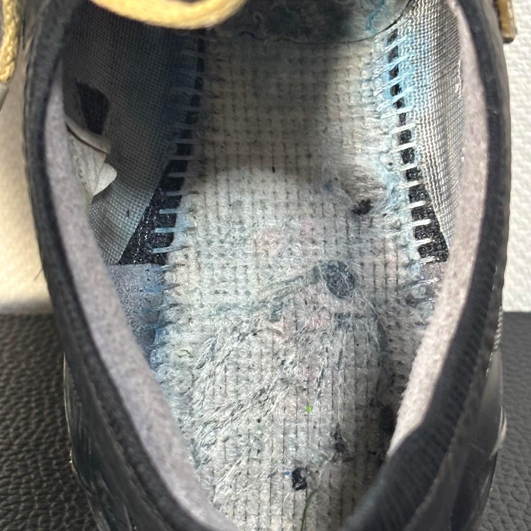 モレリアネオ4ベータ　ジャパン