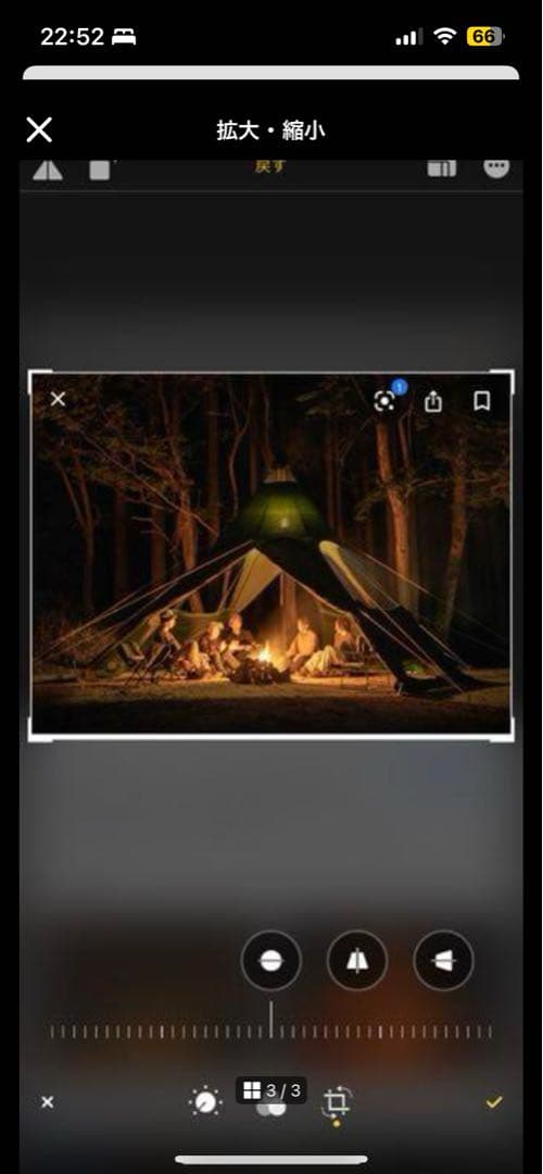 レンコンテント2 Lサイズ