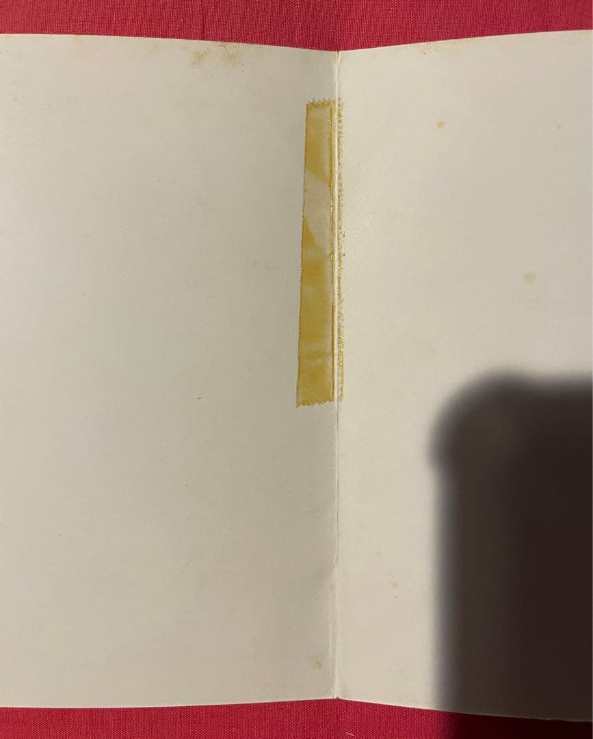 【VOICE ラフィンノーズ BOOWY スターリン あぶらだこ他 CD】