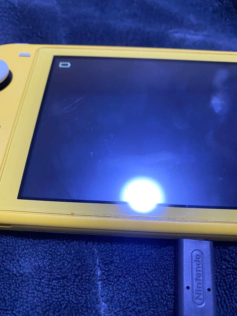 Switchライト 本体 ジャンク品