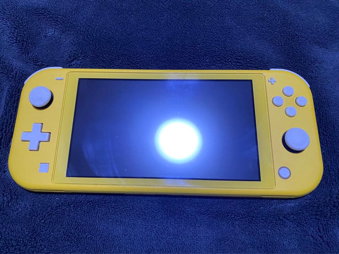 Switchライト 本体 ジャンク品