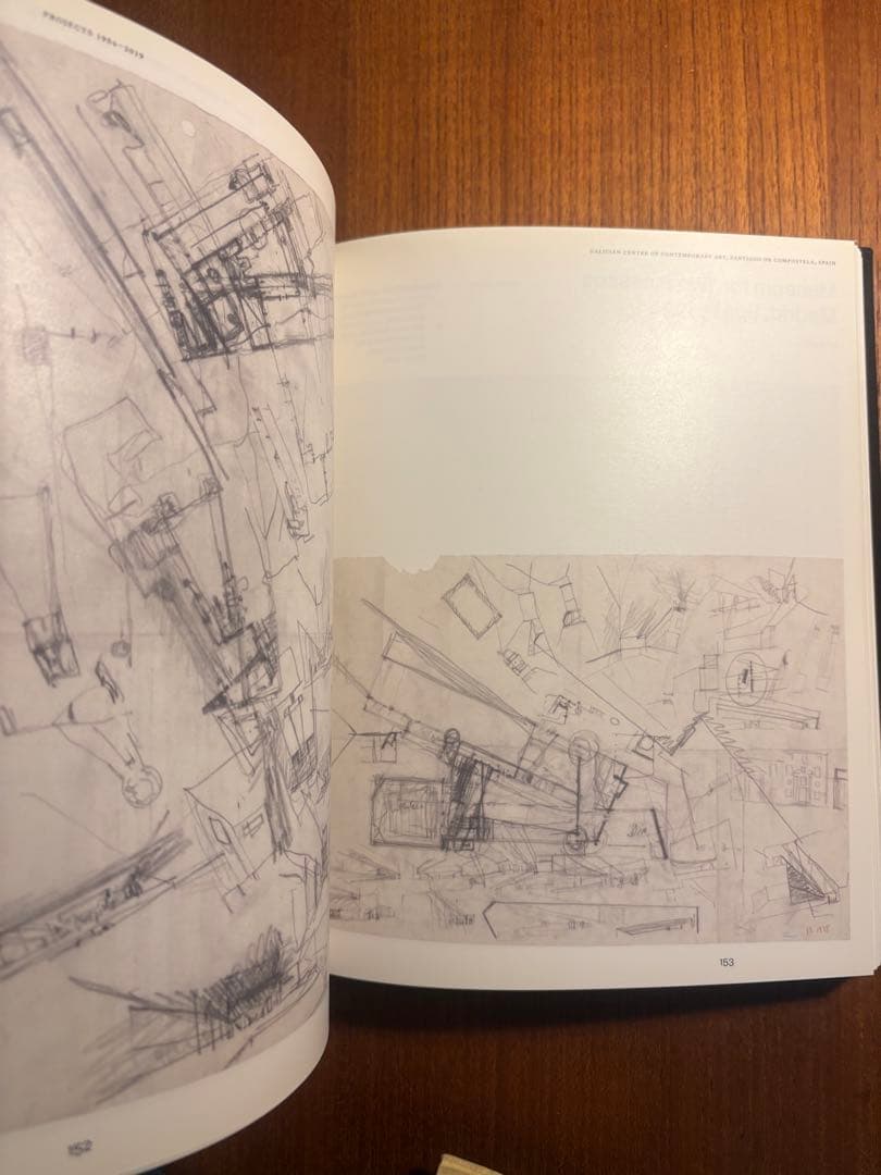 Álvaro Siza in/discipline