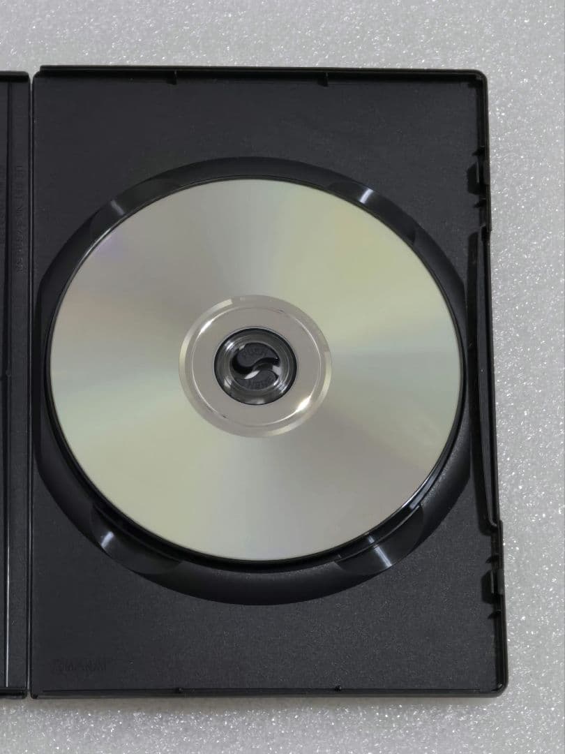 【廃盤】ダスク・オブ・ザ・デッド DVD　ホラー グロテスク モンスターパニック