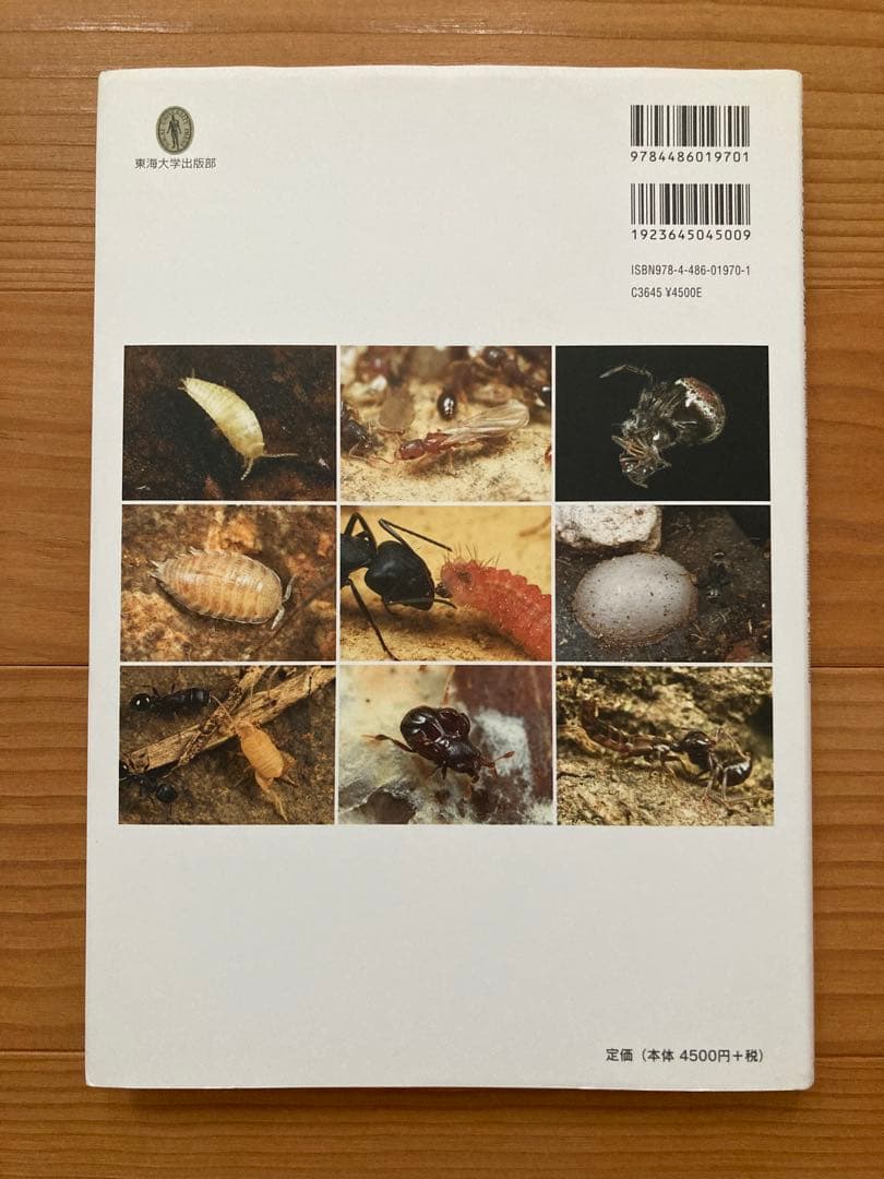 アリの巣の生きもの図鑑　東海大学出版 好蟻性昆虫 蟻 共生