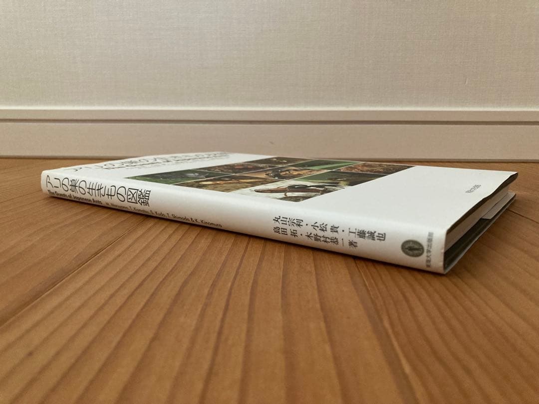 アリの巣の生きもの図鑑　東海大学出版 好蟻性昆虫 蟻 共生