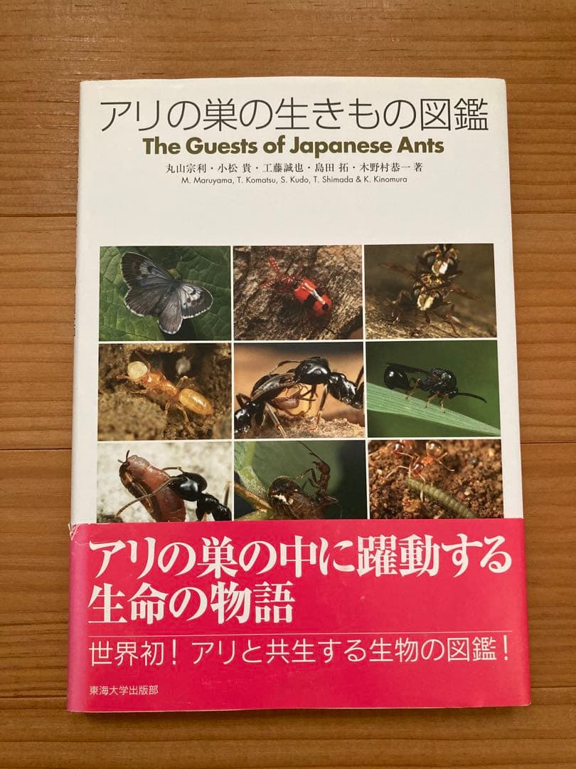 アリの巣の生きもの図鑑　東海大学出版 好蟻性昆虫 蟻 共生