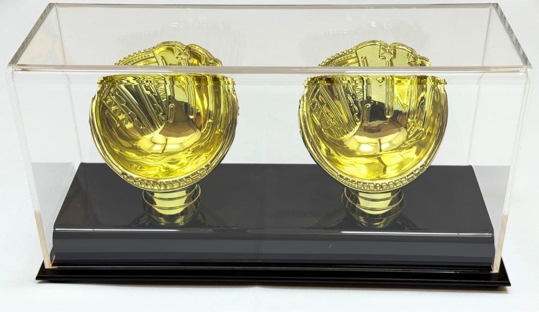 tubohana 50/50記念ボール ディスプレイケース 2点セット