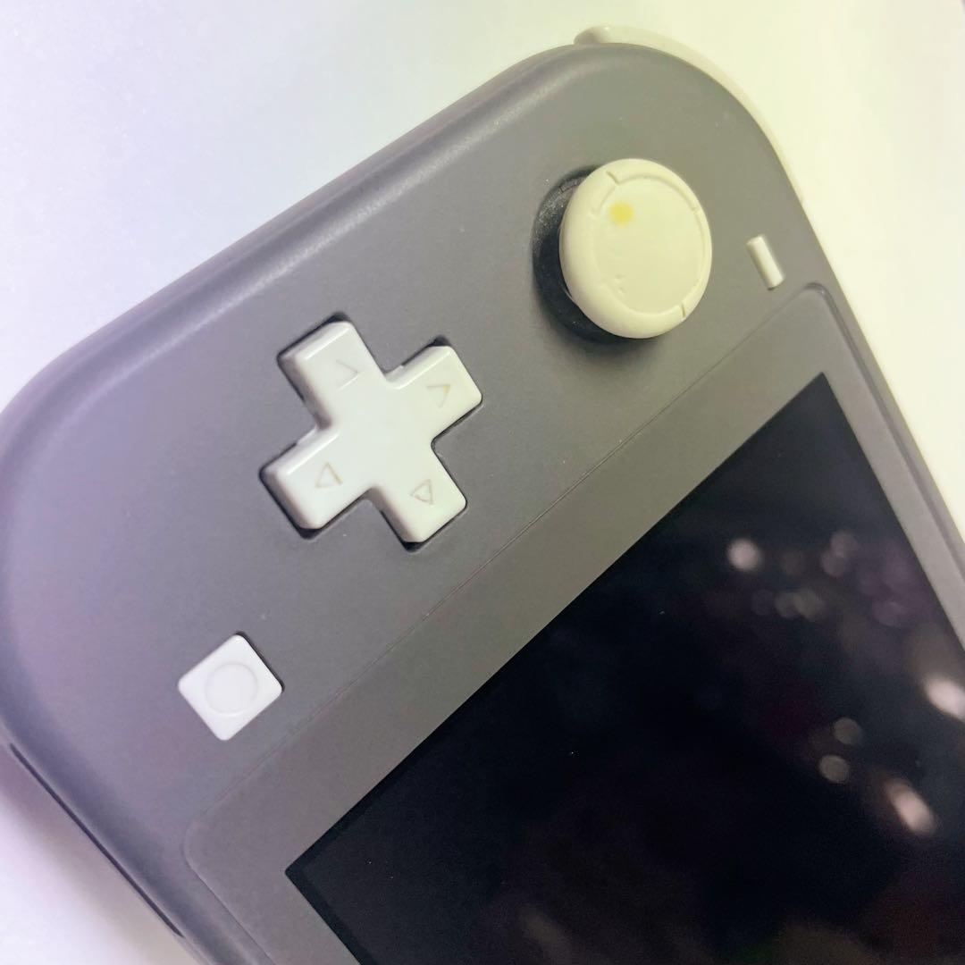Switch Lite 海外版 グレー