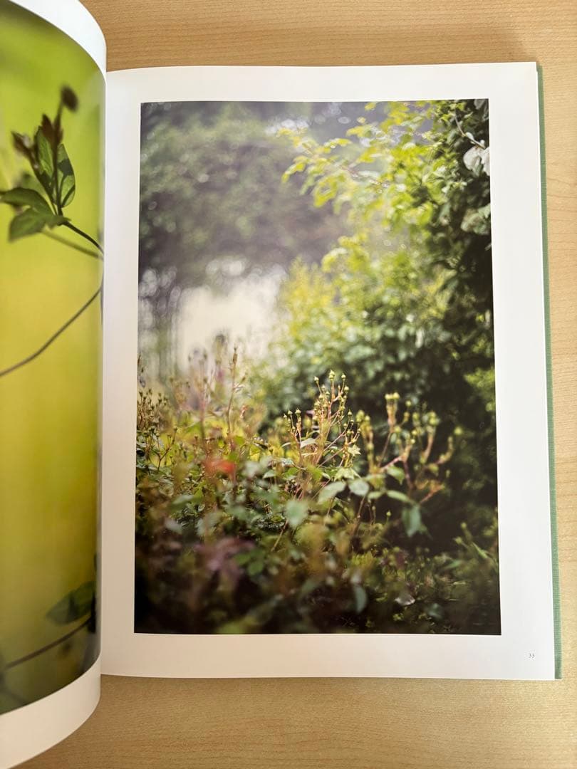 アート・デザイン・音楽 Terri Weifenbach the may sun