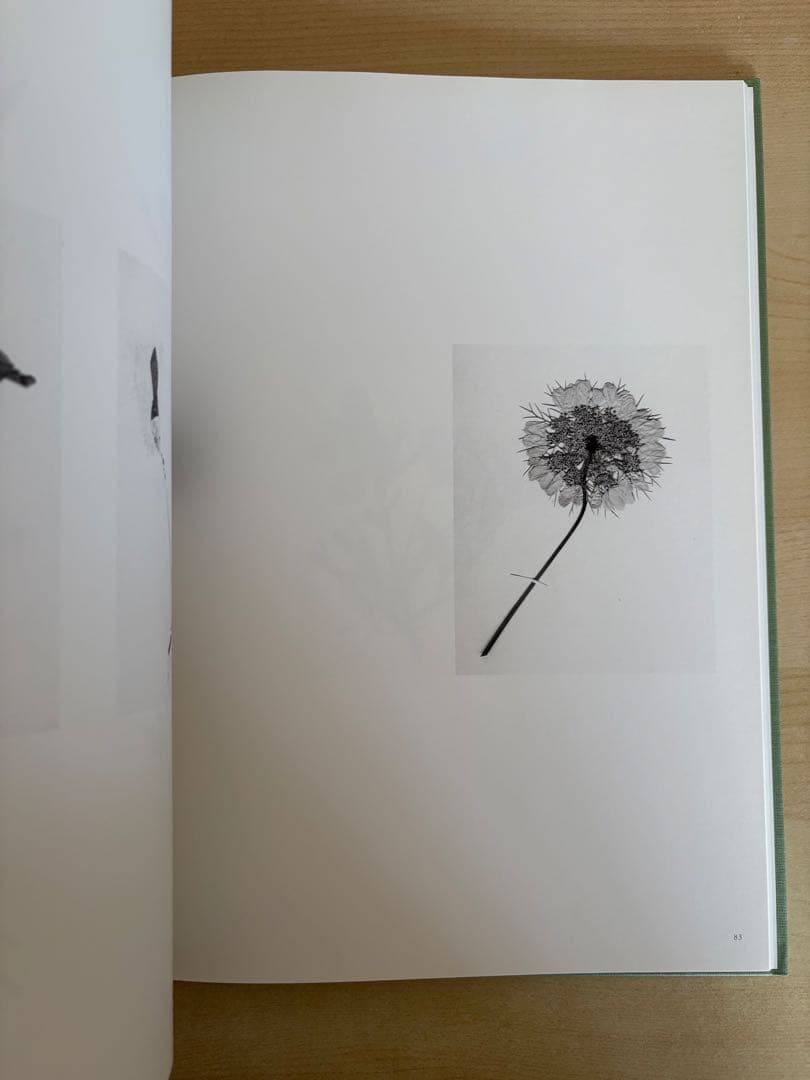 アート・デザイン・音楽 Terri Weifenbach the may sun