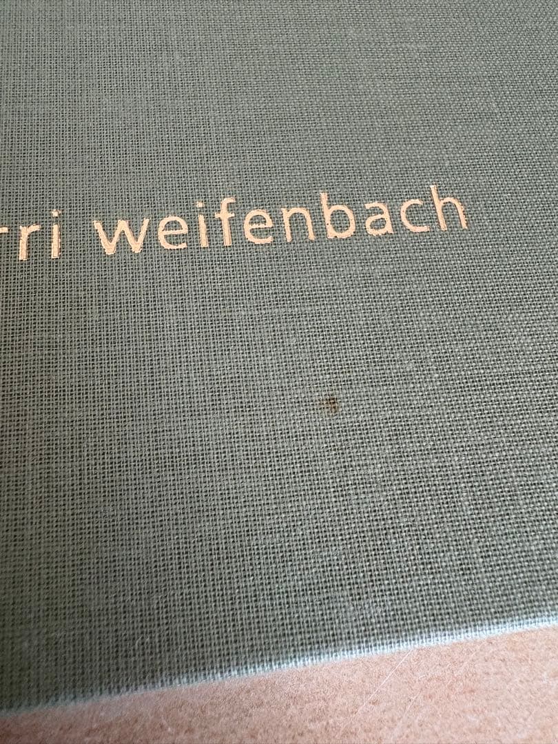 アート・デザイン・音楽 Terri Weifenbach the may sun